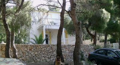 apartments damir, private accommodation in city Vis, Croatia